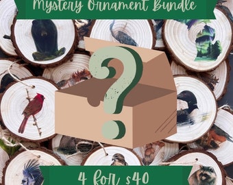 Mystery Ornament Bundle