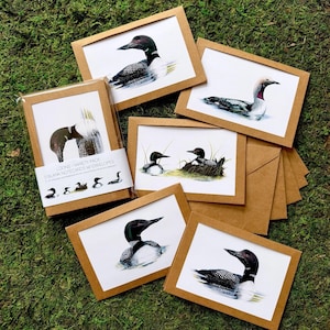 Paquet de 5 cartes à dessiner « Loons » avec enveloppes
