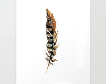 Pheasant Feather - Colored Pencil Drawing - Art Print