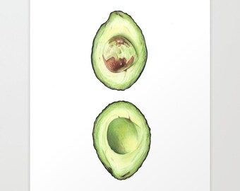 Avocado 2 - Colored Pencil Drawing - Art Print