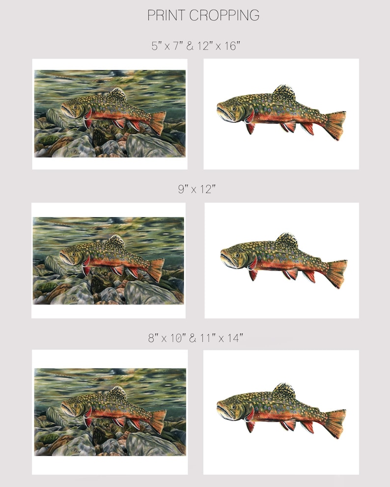 Brook Trout - Colored Pencil Drawing - Art Print - Etsy