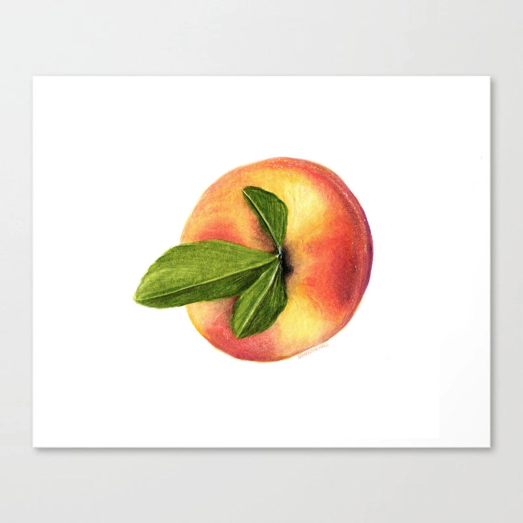 Peach Colored Pencil Drawing Art Print Etsy