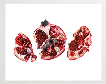 Pomegranate - Colored Pencil Drawing - Art Print