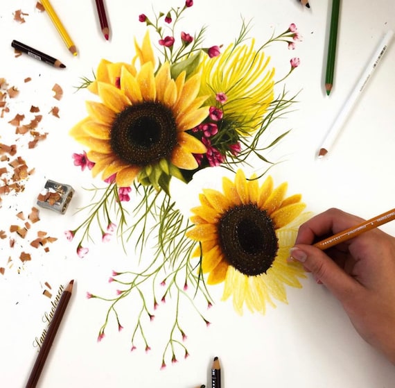 Sunflower Floral Colored Pencil Drawing Art Print Etsy