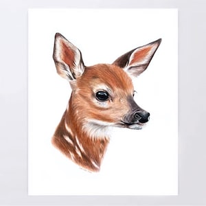 鹿の絵 | 色鉛筆で描いた鹿のアートワーク | 手描きのイラスト