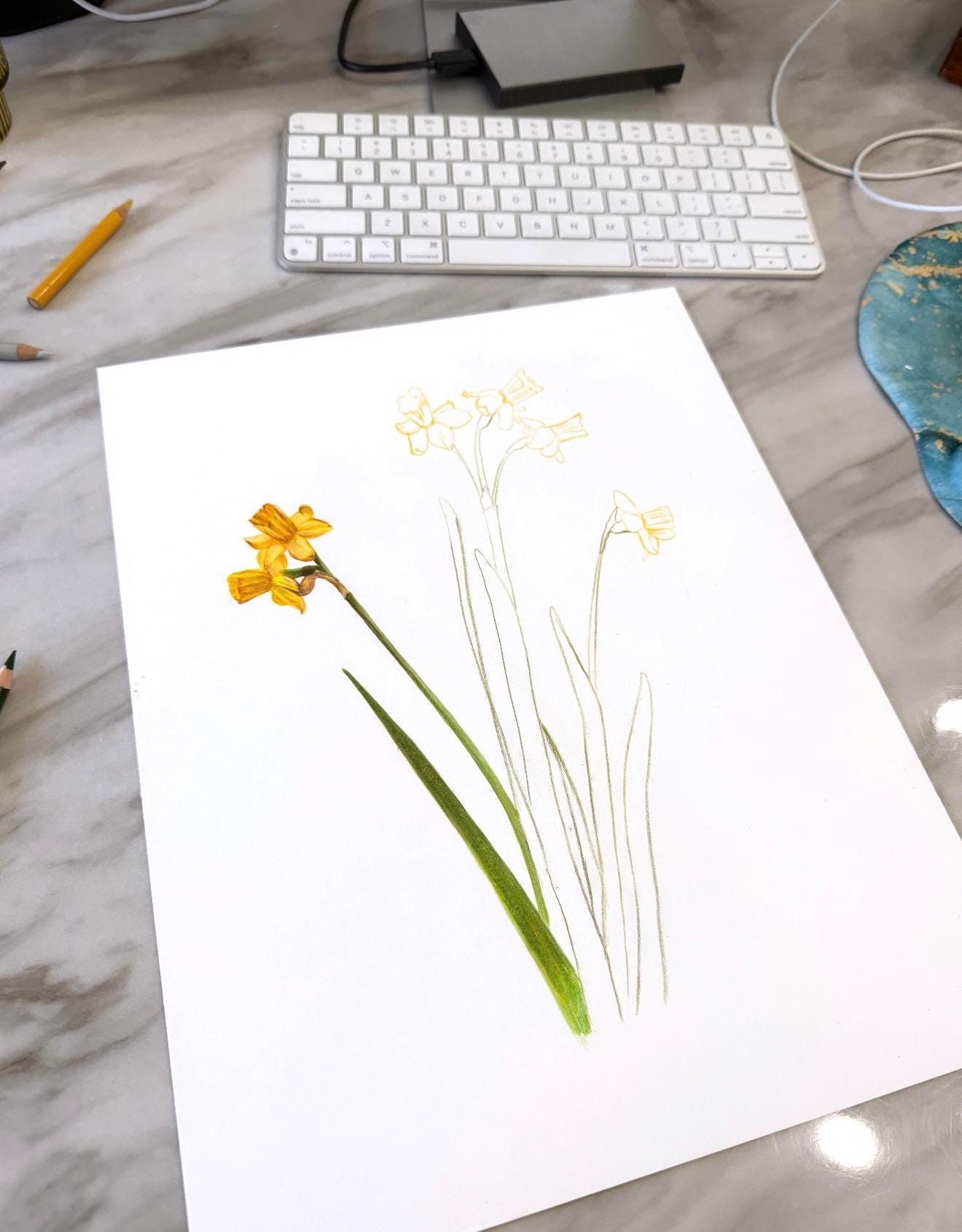 水仙 - 色鉛筆画 - アートプリント - Etsy 日本