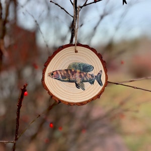 May include: A wooden ornament shaped like a tree trunk with a painted image of a brown and green fish on it. The ornament is hanging from a branch.