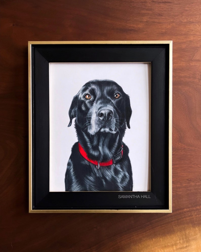 Custom Hand-Drawn Pet Portrait image 8