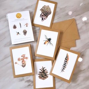 5-Pack Nature Drawing Note Cards with Envelopes image 1