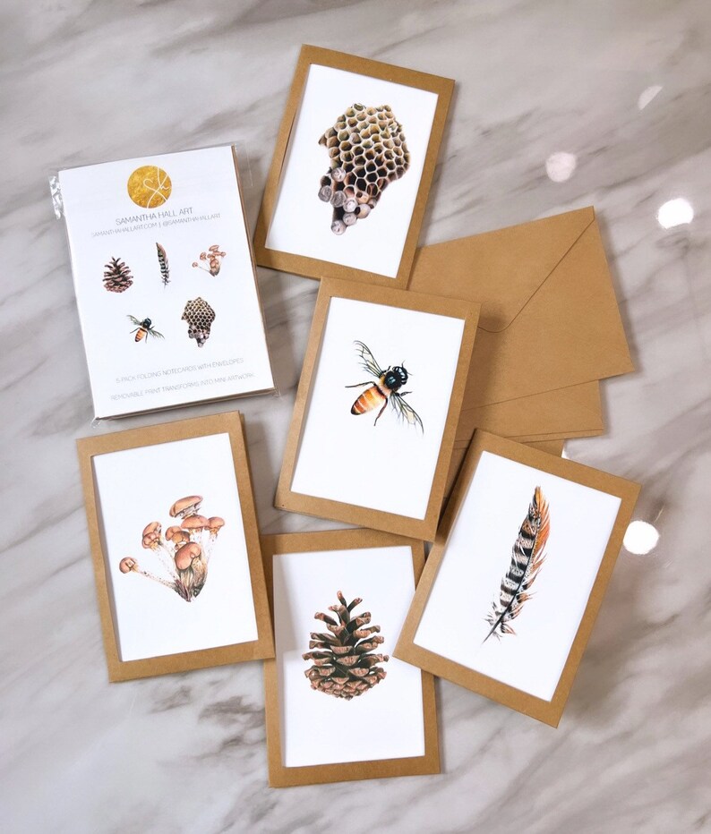 5-Pack Nature Drawing Note Cards with Envelopes image 1