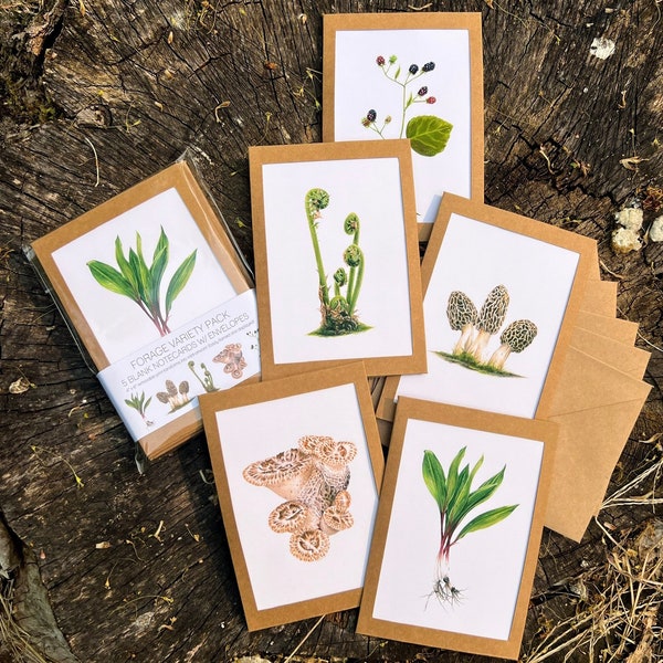 5-Pack "Forage" Drawing Note Cards with Envelopes