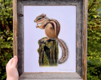 Eastern Chipmunk - Original Colored Pencil Drawing