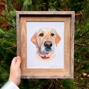 Custom Hand-Drawn Pet Portrait image 4