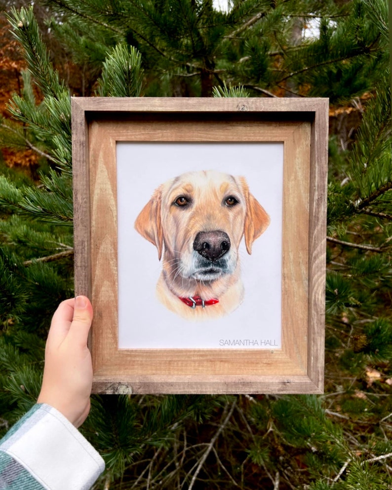 Custom Hand-Drawn Pet Portrait image 4