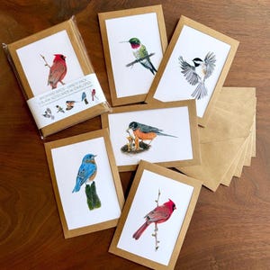 Paquet de 5 cartes à dessiner « Oiseaux du jardin » avec enveloppes