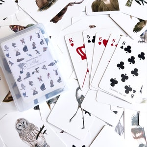 Fauna selvatica - Carte da gioco - Disegni a matita colorata