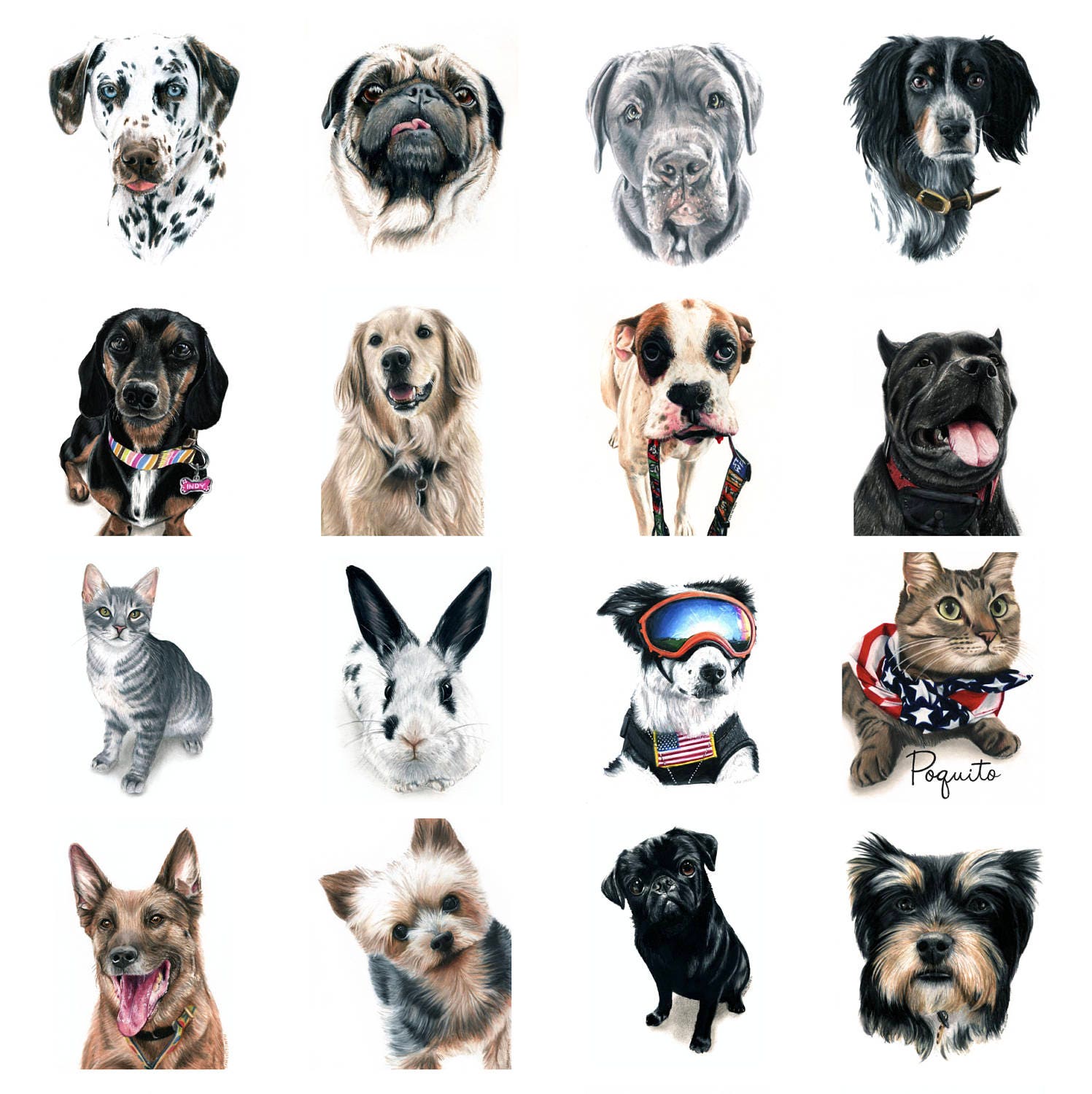 Custom Pet Portrait