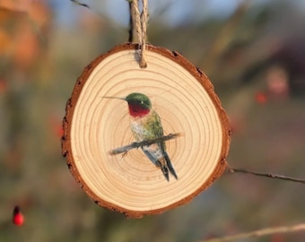 Hummingbird Drawing - Wood Slice Ornament