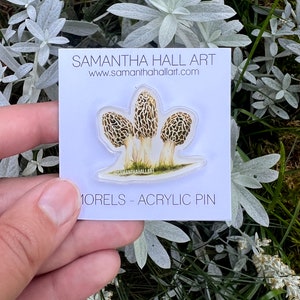 Puede incluir: Una tarjeta blanca con el texto "SAMANTHA HALL ART www.samantha hallart.com" y un pin de acrílico transparente con una ilustración de acuarela de tres morillas. El texto "MORELS - ACRYLIC PIN" está impreso en la tarjeta.