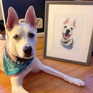 Custom Hand-Drawn Pet Portrait image 6