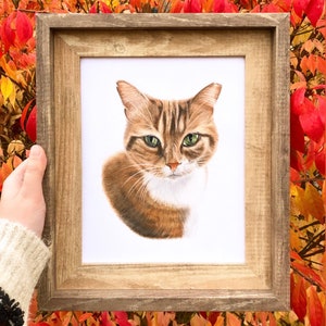 Custom Hand-Drawn Pet Portrait image 5