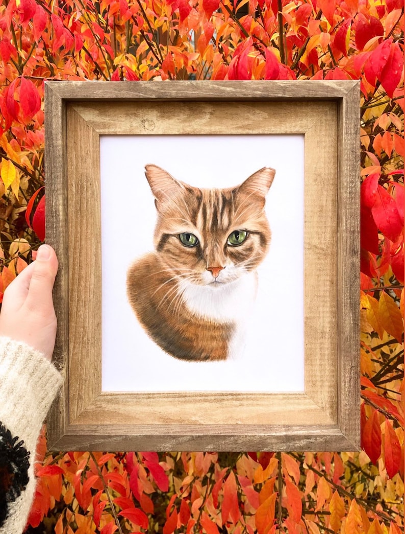 Custom Hand-drawn Pet Portrait - Etsy