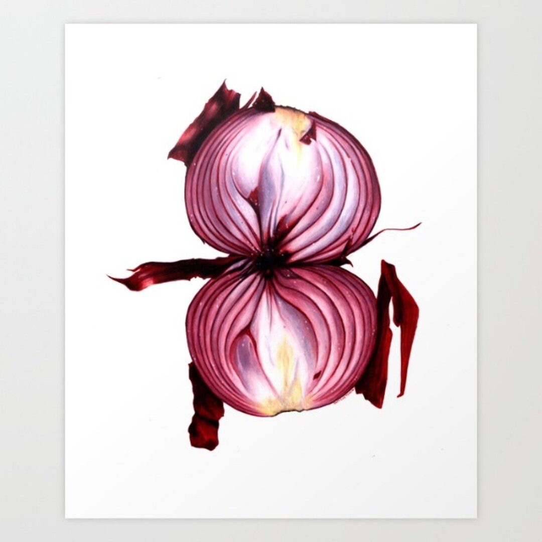 onions. Art by J.Widmer | Onion, Colored pencils, Drawings