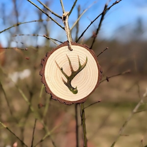 Dibujo de una cornamenta musgosa - Adorno de rebanada de madera