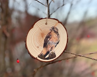 Red Tail Hawk Drawing - Wood Slice Ornament