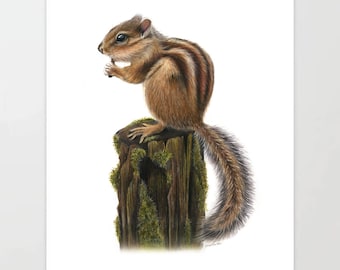 Eastern Chipmunk - Colored Pencil Drawing - Art Print