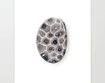 Petoskey Stone - Colored Pencil Drawing - Art Print