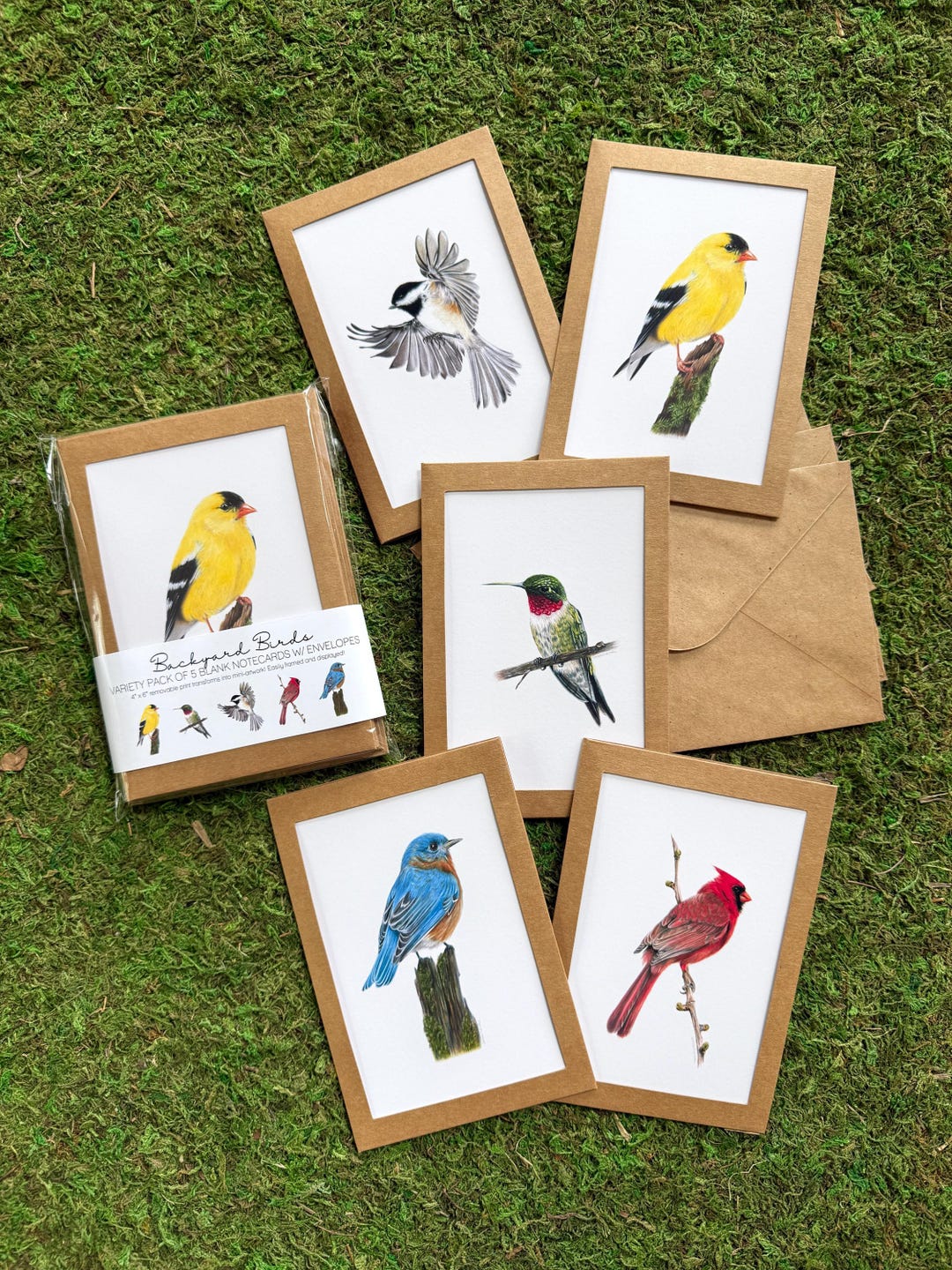Draw Note Card 5-pack