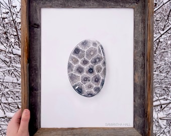 Petoskey Stone - Original Colored Pencil Drawing