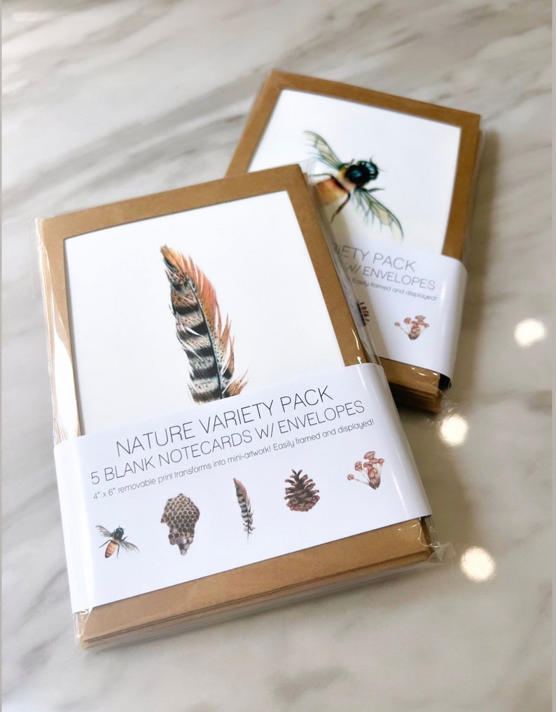 5-Pack Nature Drawing Note Cards with Envelopes image 2