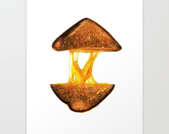 Grilled Cheese - Colored Pencil Drawing - Art Print