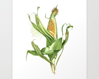 Corn on the Cob - Colored Pencil Drawing - Art Print