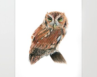 PRINT 'screech Owl' - Etsy