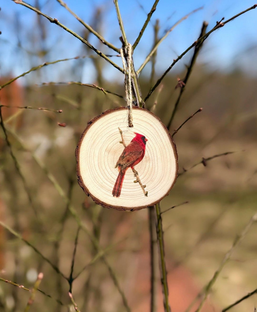 Cardinal Drawing - Wood Slice Ornament - Etsy