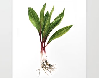 Ramps - Colored Pencil Drawing - Art Print