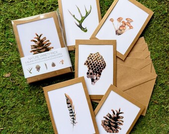 5-Pack &quot;Nature&quot; Drawing Note Cards with Envelopes