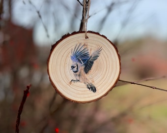 Blue Jay Drawing - Wood Slice Ornament