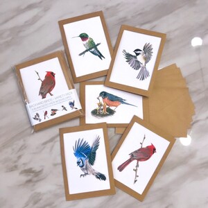 5-pack backyard Birds Drawing Note Cards With Envelopes - Etsy