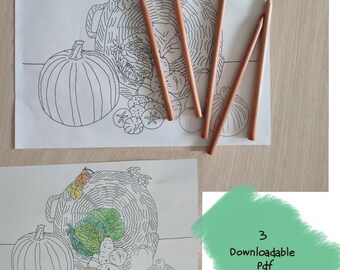 Fruits and Vegetables Coloring Book – Printable Food Basket Pages for Kids & Adults