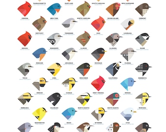 State Birds digital illustration / art print