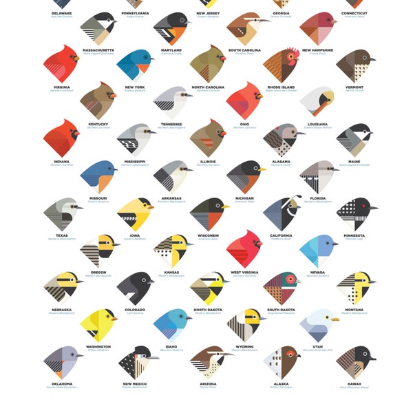 State Birds digital illustration / art print