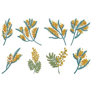 以下が含まれることがあります： ミモザの花の8つの小枝のイラスト。花は黄色で、小さく丸い形に集まっています。茎と葉は緑と青で、白い背景に配置されています。この画像は植物画です。