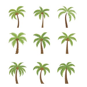May include: Nine cartoon palm trees with green fronds and brown trunks are arranged on a white background. Some trees have coconuts. The trees vary in size and shape, with some having a slight curve to their trunks.