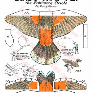 1924 Baltimore Oriole Paper Toy: Vintage Printable Papercraft (Digital Download)