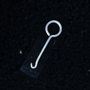 May include: A silver metal hook with a circular loop at the top and a curved hook at the bottom.