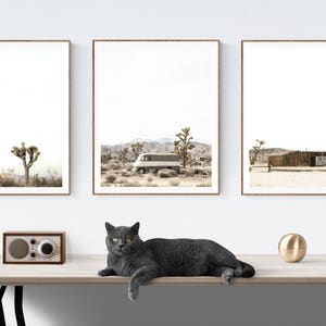 Set of 3  Desert Joshua Tree Modern Prints , Mid century modern wall art, Minimalist art,